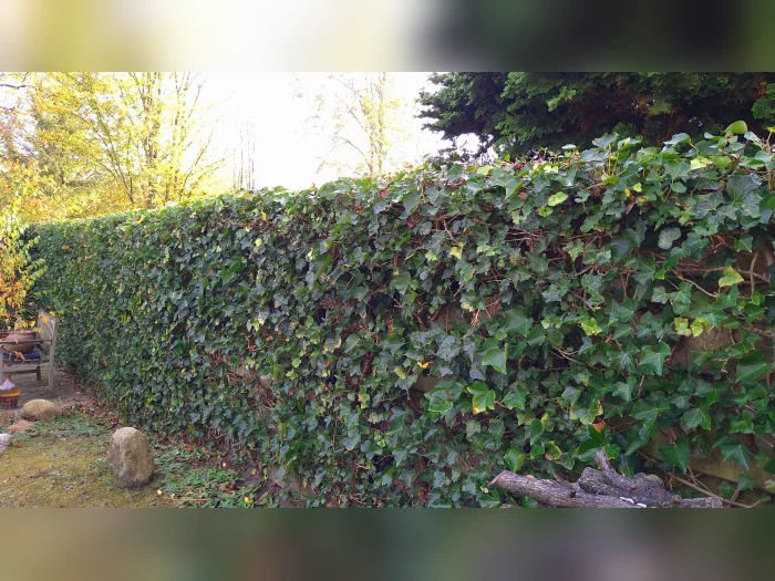 Voorbeeldafbeelding 3