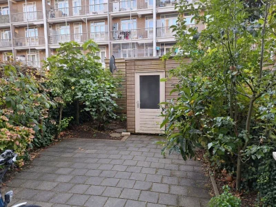 Voorbeeldafbeelding 3