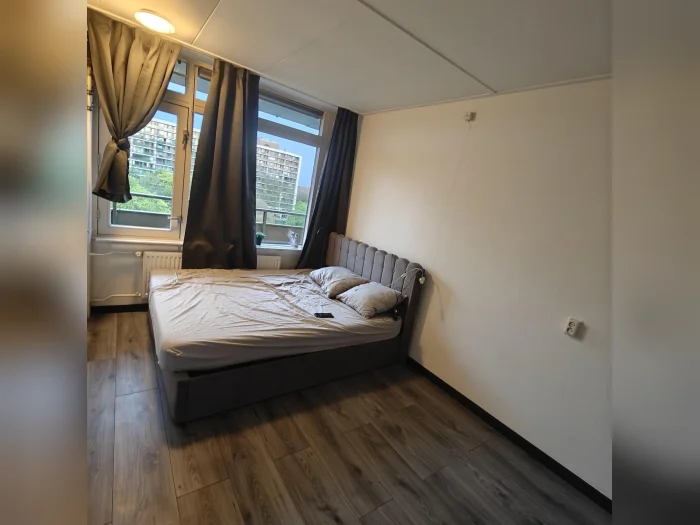 Voorbeeldafbeelding 3